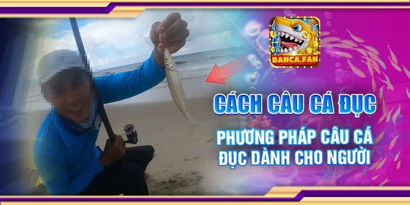 Cách Câu Cá Đục – Phương Pháp Câu Cá Đục Dành Cho Người Mới