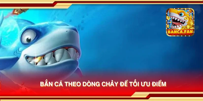 Bắn cá theo dòng chảy để tối ưu điểm