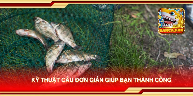 Kỹ thuật câu đơn giản giúp bạn thành công