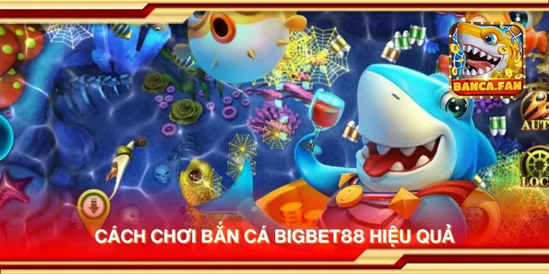 Cách chơi bắn cá Bigbet88 hiệu quả