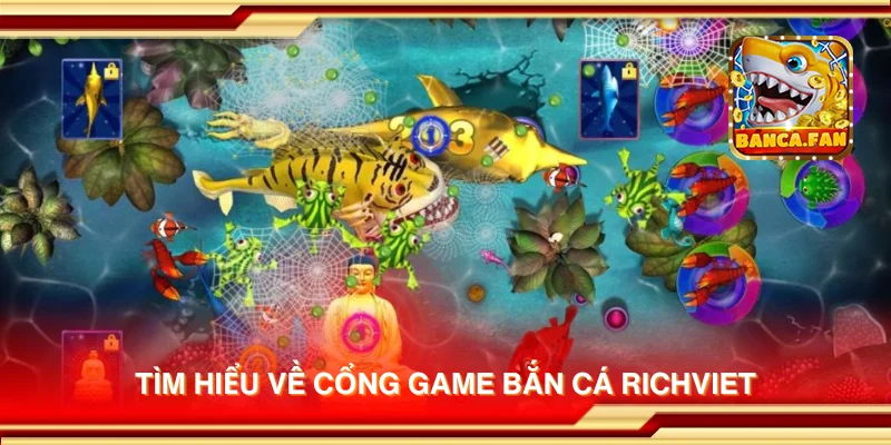 Tìm hiểu về cổng game bắn cá Richviet