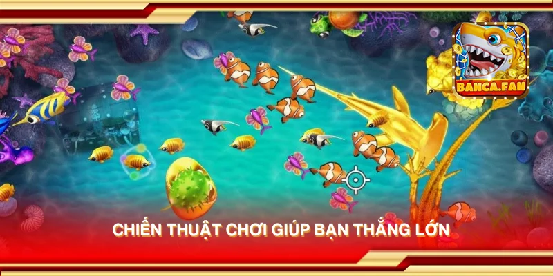 Chiến thuật chơi giúp bạn thắng lớn