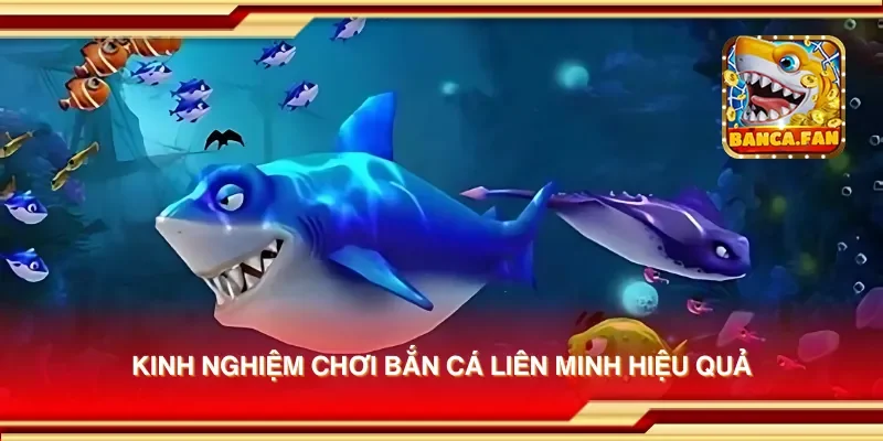 Kinh nghiệm chơi bắn cá liên minh hiệu quả